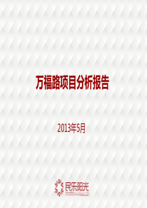 2013年5月武汉万福路项目分析报告_66p_市场调查研究.