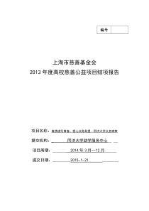 2013年度高校慈善公益项目结项报告表格(义务家教)