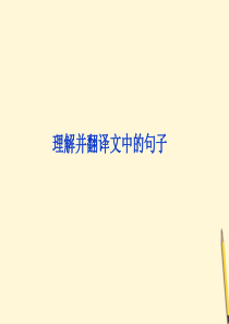 2012年高考语文二轮复习文言文阅读理解并翻译文中的句子课件