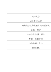 西藏电子政务发展有关问题研究