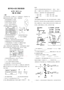 2012高三生物强化训练六