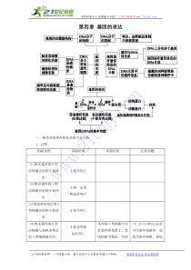 2012高三生物复习第4章《基因的表达》知识整合