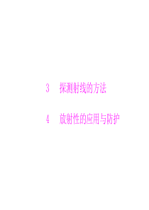 2012高二物理课件第十九章34放射性的应用与防护(人教版选修3-5)