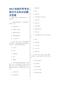 2013初级护师考试相关专业知识试题及答案