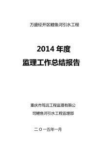 2014监理总结报告