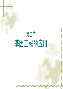 2015-2016学年高中生物课件13基因工程的应用(浙科版选修三)