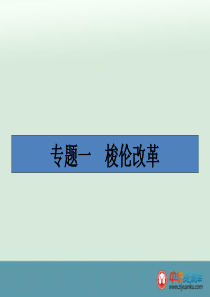 2015-2016学年高二历史课件11《雅典往何处去》(人民版选修1)