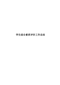 中岳初中学生综合素质评价工作总结