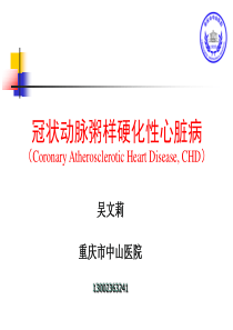 15冠状动脉粥样硬化性心脏病