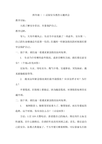 法制安全教育主题班会教案