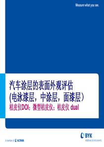 汽车涂层表面外观评价