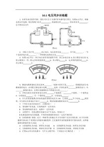 161电压同步训练题(新人教版九年级全册)