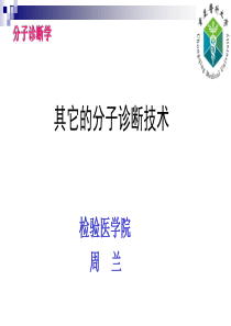 17其它的分子诊断检测技术2013-12-19