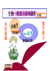 2011高考生物一轮复习课件--酶在代谢中的作用