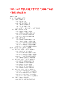 2012-2013年贵州遵义市天然气终端行业的可行性研究报告