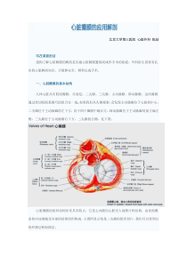 1心脏瓣膜的应用解剖