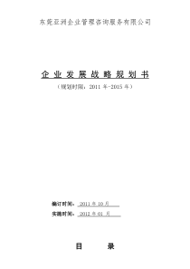 2012公司发展战略规划书(详细)