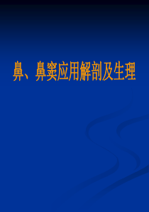 1鼻鼻窦的解剖及生理慢性鼻炎