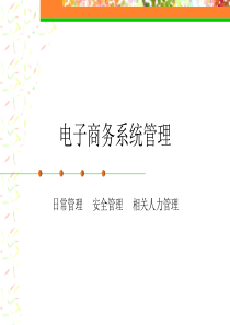 【电子商务师培训资料】电子商务系统管理