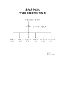 2011年护理垂直管理组织结构图