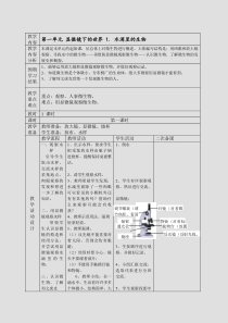 苏教版六年级小学科学上册教案