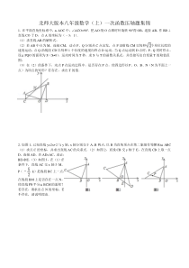 北师大版本八年级数学(上)一次函数压轴题集锦