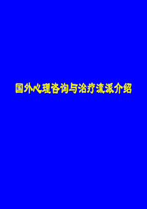 (ABC案例)国外心理咨询治疗流派简介.