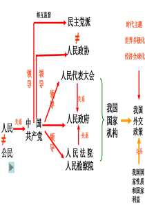 2011,高考一轮复习公民与政府