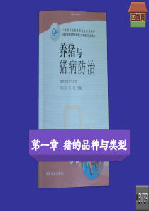 汽车防盗锁哪个牌子好如何挑选汽车防盗锁