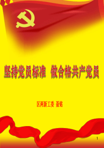 (定稿)坚持党员标准-做合格共产党员(2016.7n).