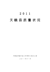 2011.11天峨县质量分析报告