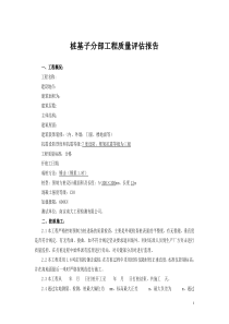 (桩基)子分部工程质量评估报告2√