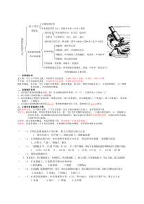 2011中考生物中考专题复习3练习使用显微镜