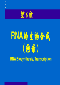 +RNA的生物合成-转录.