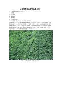 002山坡垂直绿化植物选择