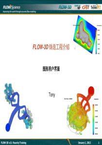 01FLOW_3DV11介绍