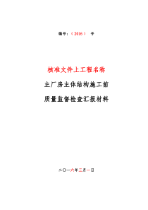 02主厂房主体结构施工前-汇报材料-XX项目