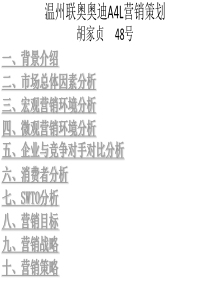 温州联奥奥迪A4L(2)