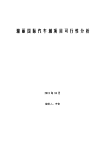 瑞丽国际汽车城项目可行性分析