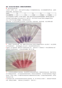 05标记Ph和蛋白量