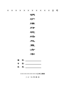 07锅炉爆炸事故现场处置方案