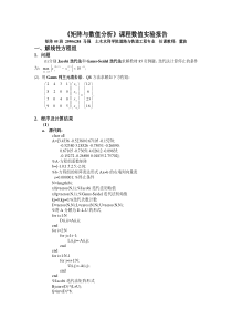 09级矩阵与数值分析上机作业