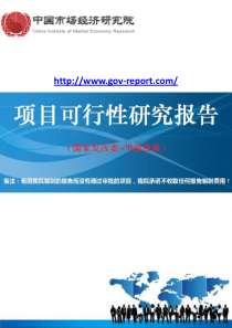 电动车配件生产基地建设项目可行性研究报告(中国市场经