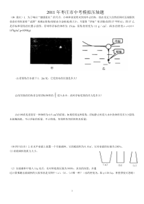 2011年枣庄市中考模拟压轴题