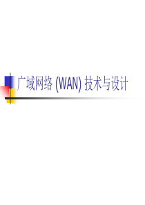 11广域网络(WAN)技