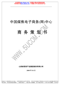 中国××电子商务网中心商务策划书