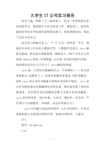 大学生IT公司实习报告