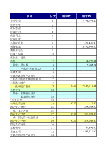 年审财务报表