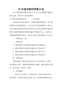 XX年指导教师带教计划