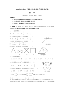 2009年桂林市百色市中考数学试题及答案